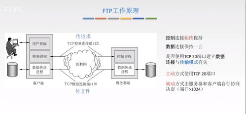 計算機網絡應用層核心技術 從C/S到P2P，從DNS到HTTP