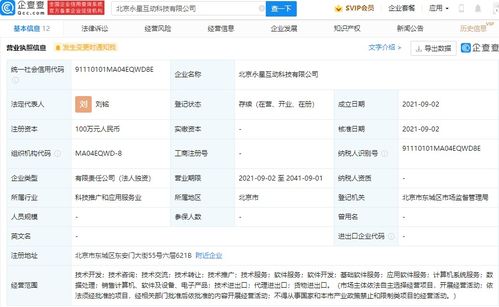 深圳計(jì)算機(jī)系統(tǒng)服務(wù) 數(shù)字時代的創(chuàng)新引擎與產(chǎn)業(yè)支柱